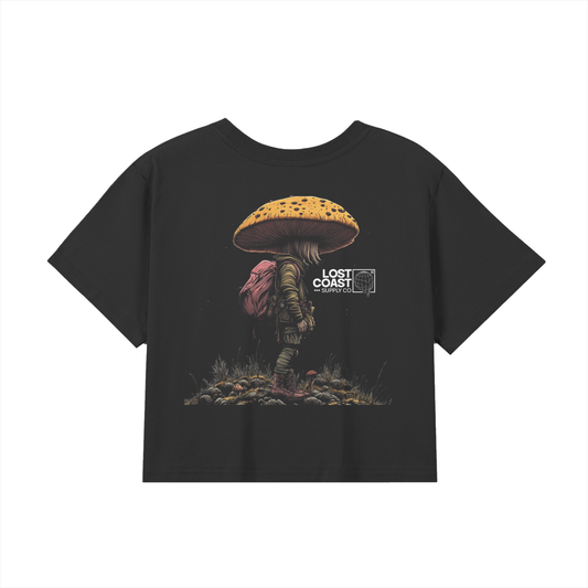 tops,crop